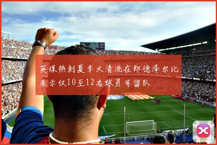 英媒热刺夏季大清洗在即德泽尔比表示仅10至12名球员可留队
